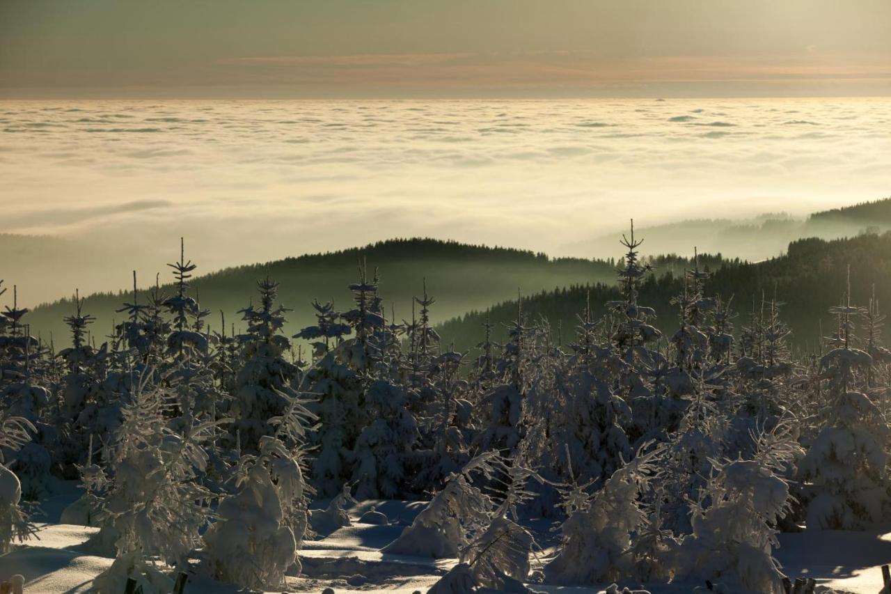 Apartman U Sklarny Lägenhet Harrachov Exteriör bild